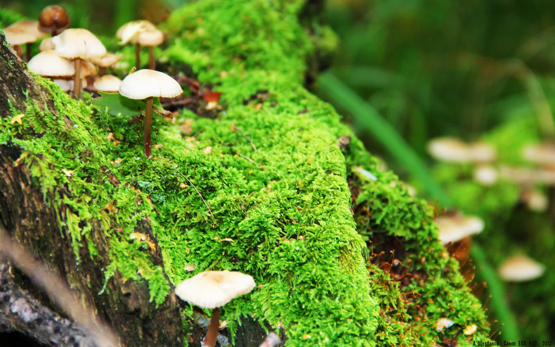 世界拳击青少年训练营医务小组急救器材配置要求,拳击项目